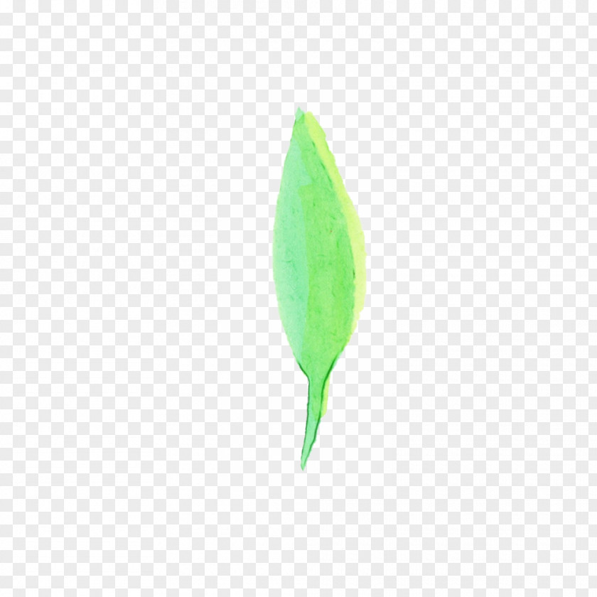 Feather PNG