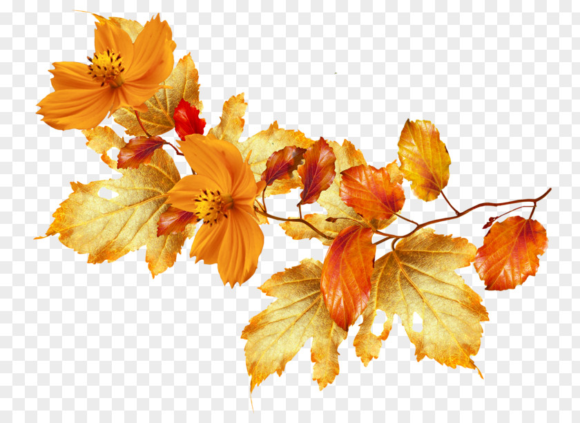 Flower Garland Autumn Desktop Wallpaper Clip Art PNG