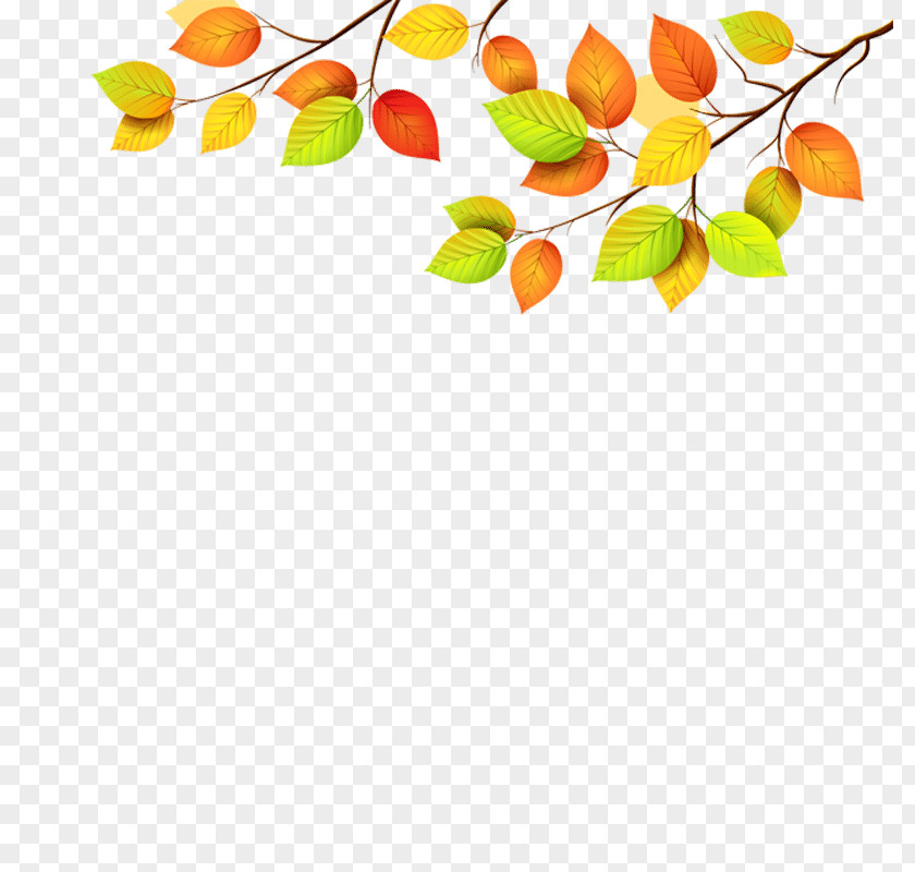 Leaf Autumn Color Clip Art Green PNG