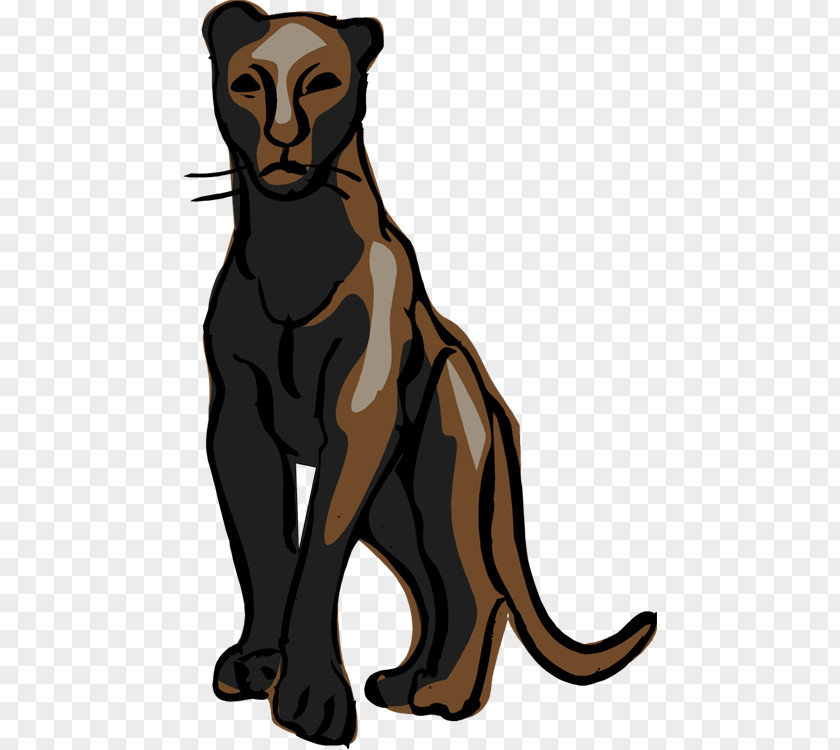 Leopard Whiskers Panther Cat Clip Art PNG