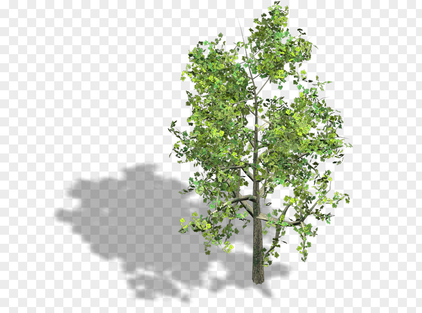 Persimmon Tree Wood Axonometric Projection Isometric Graphics In Video Games And Pixel Art PNG