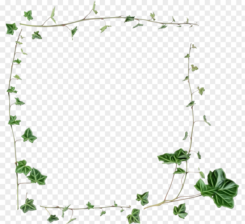 Picture Frame Ivy Family Background Flower PNG