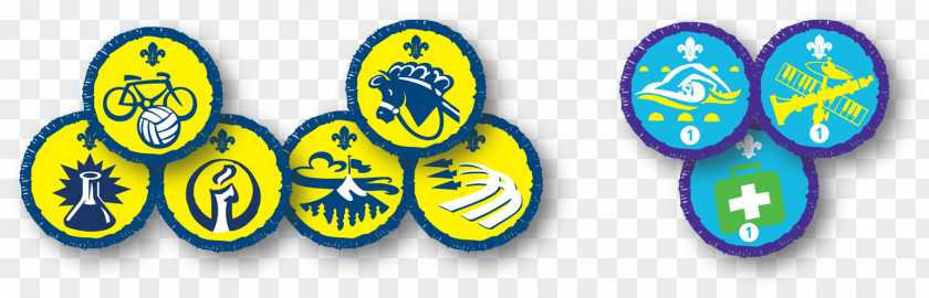 Pictures Of Badges Badge Scouting Beavers Beaver Scouts Clip Art PNG
