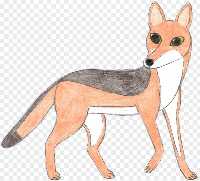 Hyena Red Fox Black-backed Jackal Dog Canidae PNG