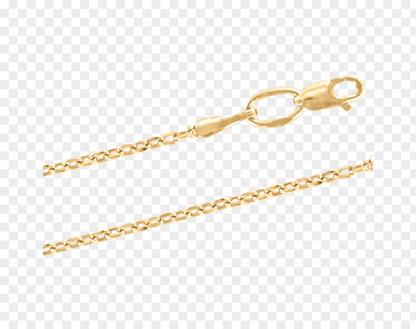 Jewellery Earring Chain Necklace PNG