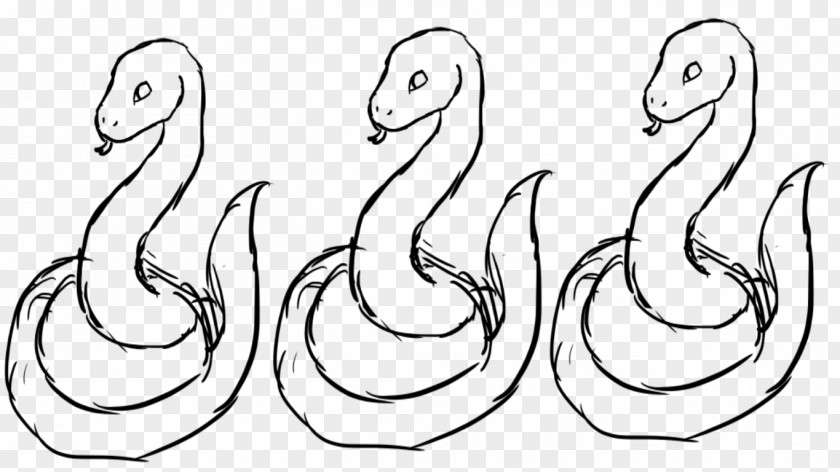 Snakes Line Art Drawing Snake Clip PNG