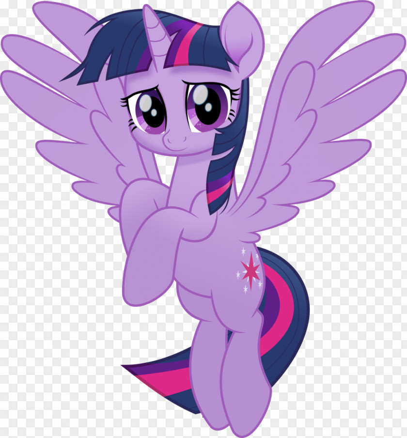 Sparkle Twilight Pony Princess Celestia Rainbow Dash Pinkie Pie PNG
