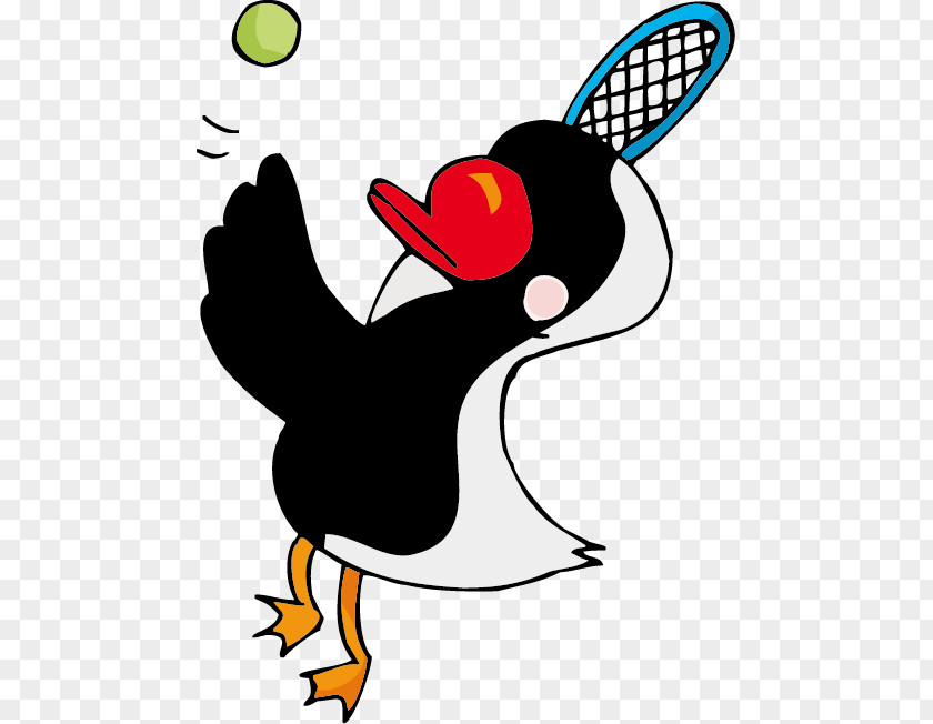 Tennis Bird Penguin Illustration PNG