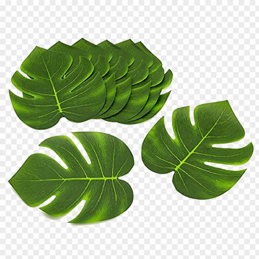 Party Cuisine Of Hawaii Luau Textile Arecaceae PNG