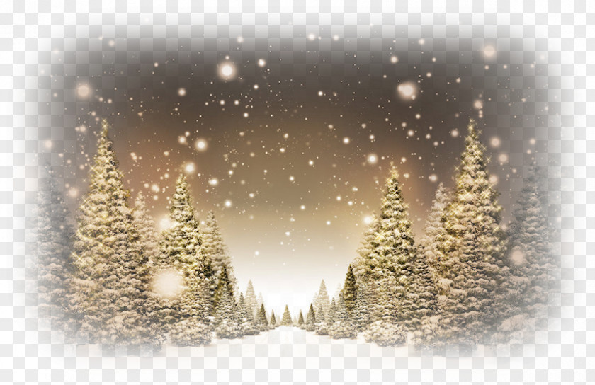 Winter Landscape Christmas Tree Desktop Wallpaper Public Holiday PNG