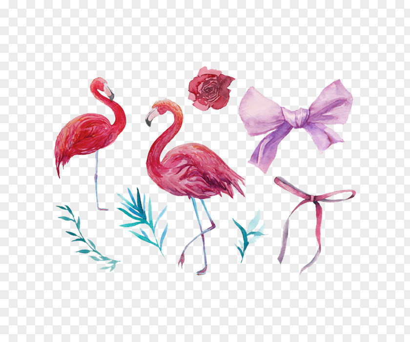 Art And Decorative Hand-painted Flamingos Bird Download PNG