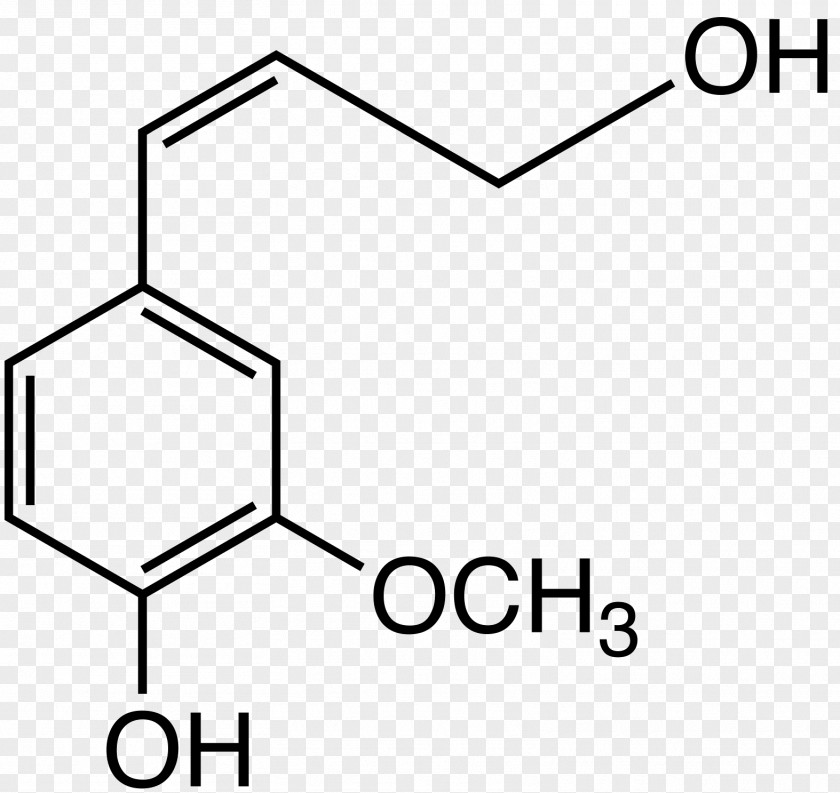 Cámara Paper /m/02csf Dimethyl Sulfoxide Drawing Product Design PNG