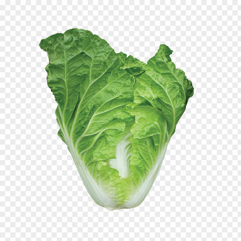 Cabbage Romaine Lettuce Choy Sum Chinese Spring Greens PNG