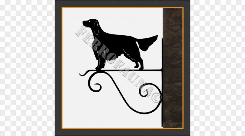 Cat Dog Picture Frames Tail PNG