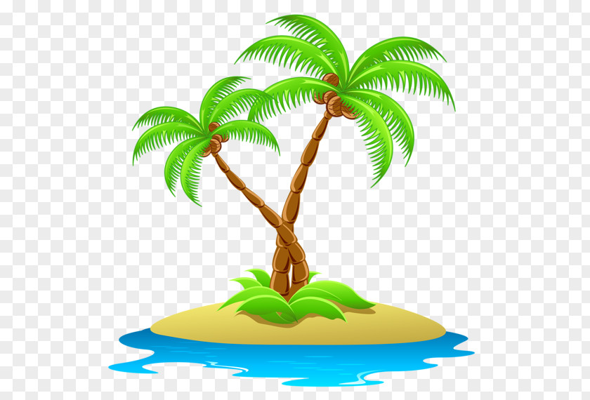 Coconut Tree Arecaceae Island Clip Art PNG