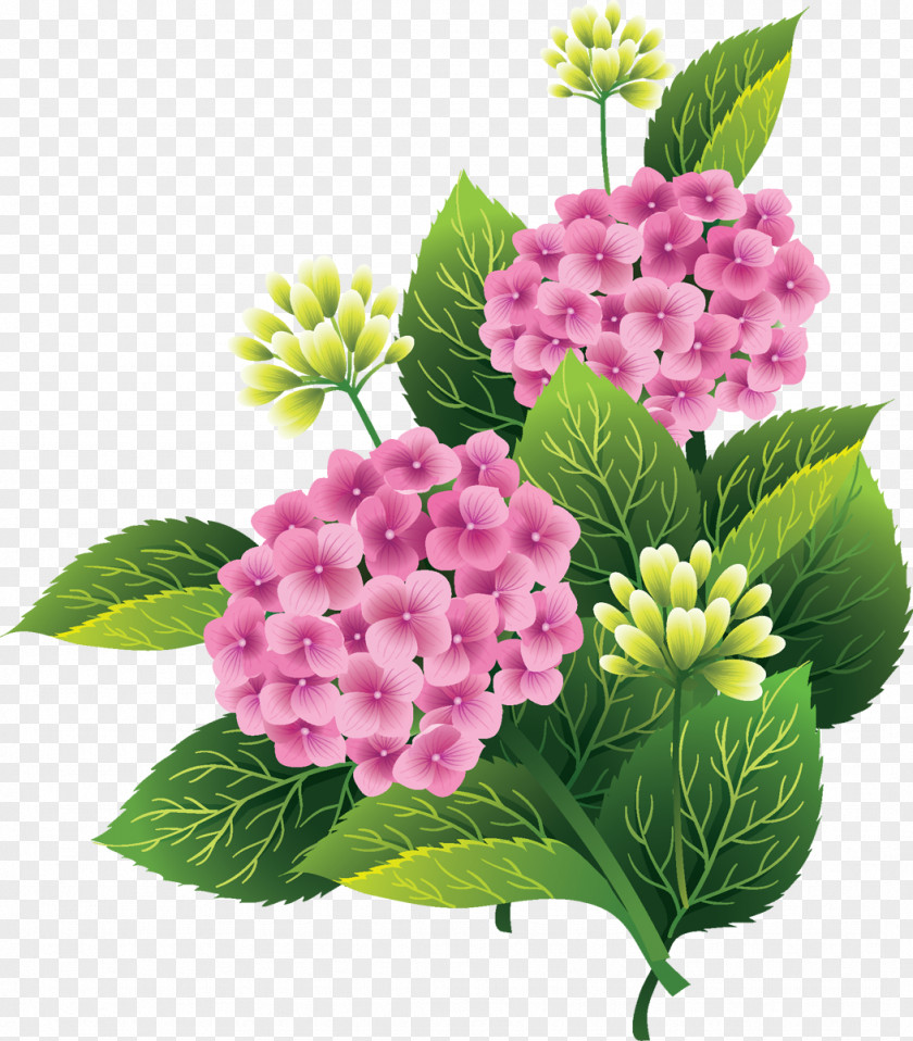 Flowers Pink Silhouette Clip Art PNG