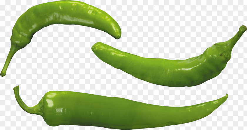 Green Pepper Image Bell Chili Pizza PNG