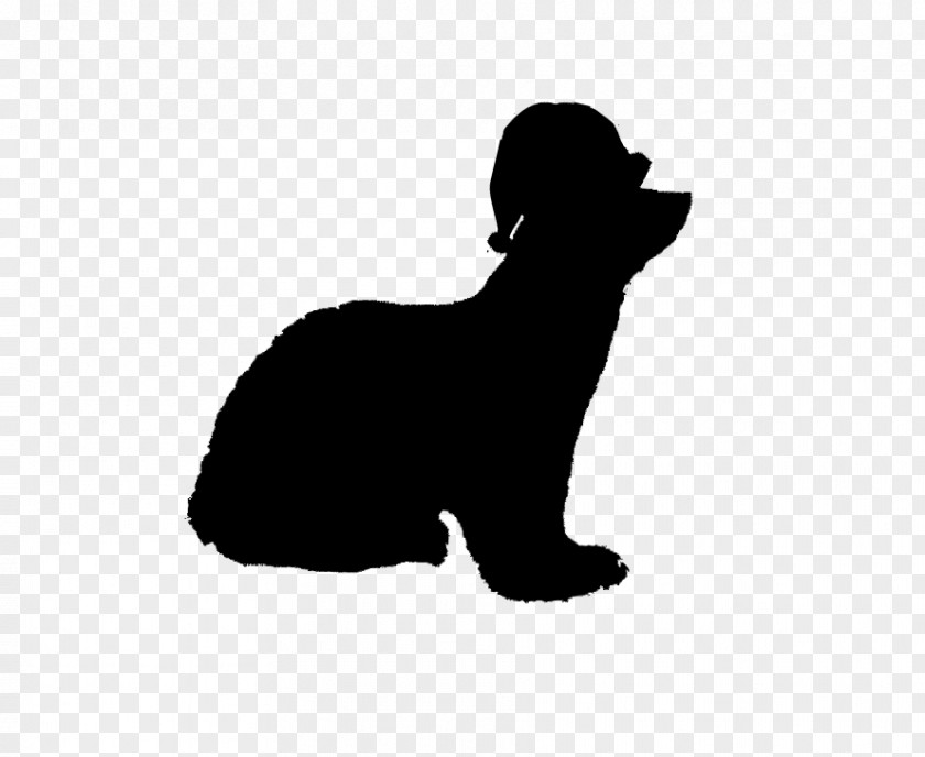 Whiskers Puppy Dog Breed Cat PNG