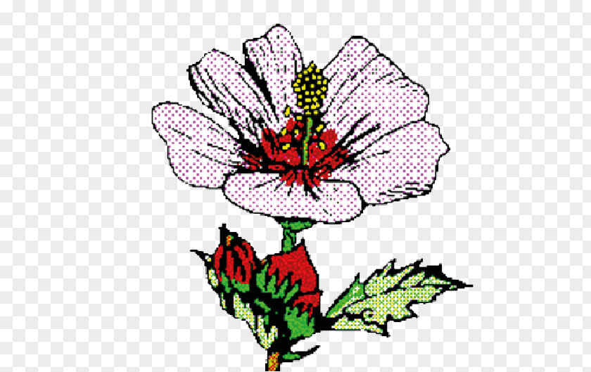 Associazione Gioco E Benessere In Pediatria Floral Design Centella Asiatica Herb Flower Petal PNG