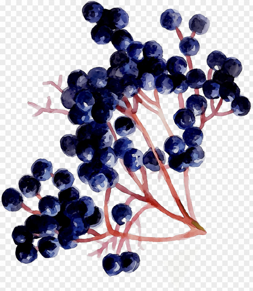 Grape Seed Extract Zante Currant Blueberry Bilberry PNG