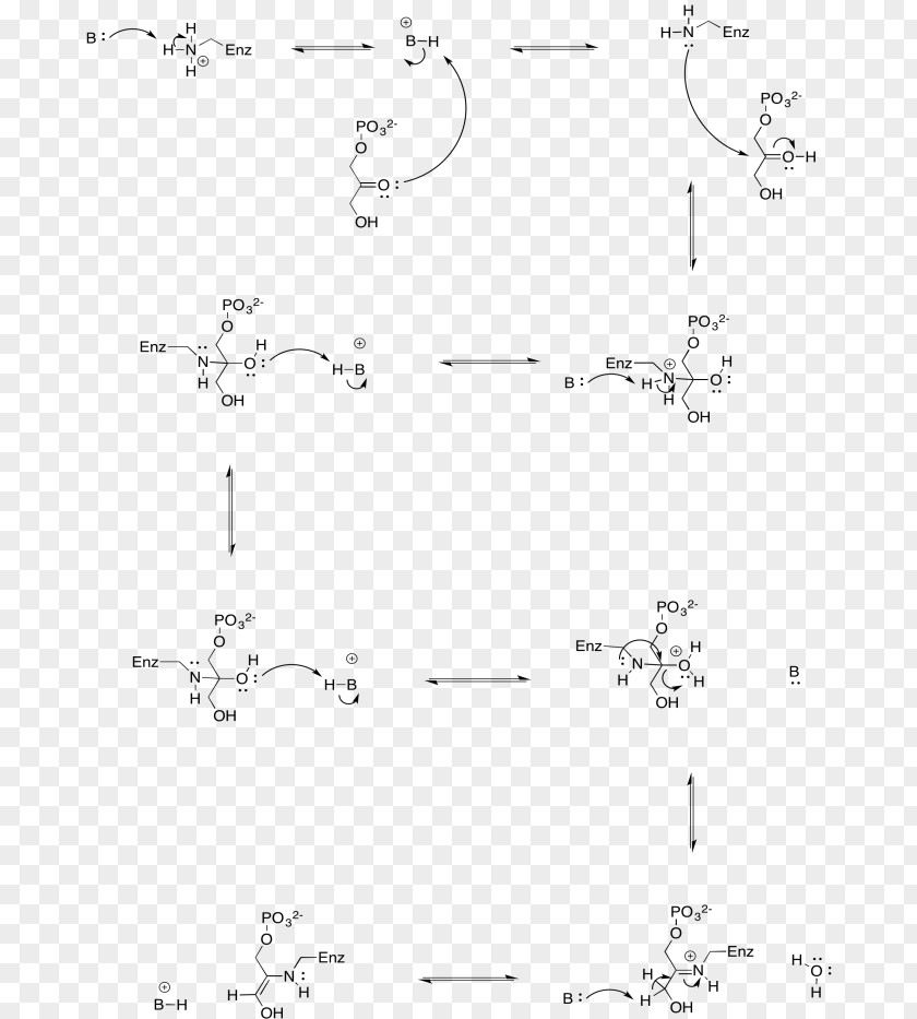 Line Drawing Point Angle /m/02csf PNG