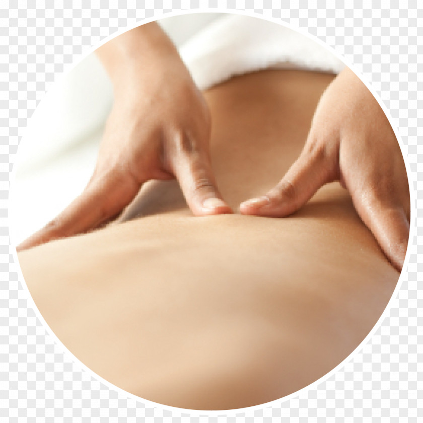 Massage Physical Therapy Myotherapy Manual PNG