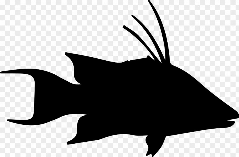Silhouette Character Marine Mammal White Clip Art PNG