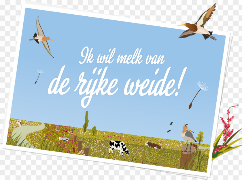Vogelbescherming BirdLife Netherlands Weelde Wet Milieubeheer News PNG