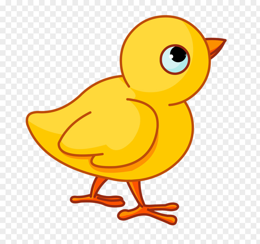 Yellow Chick Chicken Infant Mother Clip Art PNG