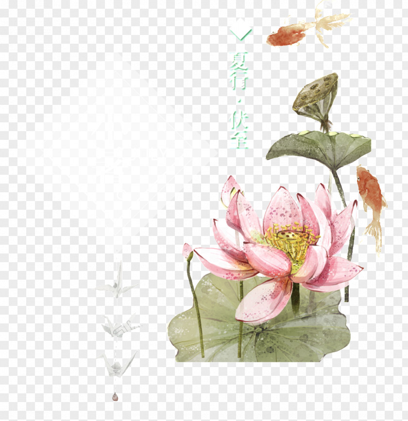 Chinese Painting Lotus Floral Design Image Vector Graphics PNG