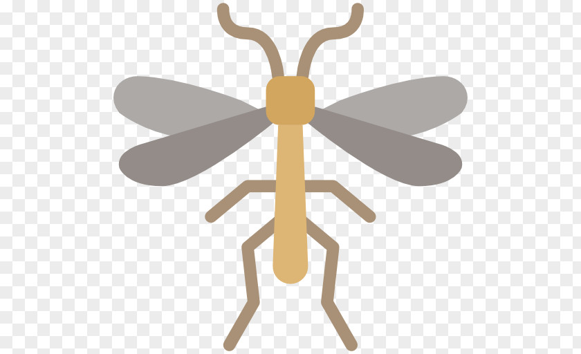 Insect Clip Art PNG