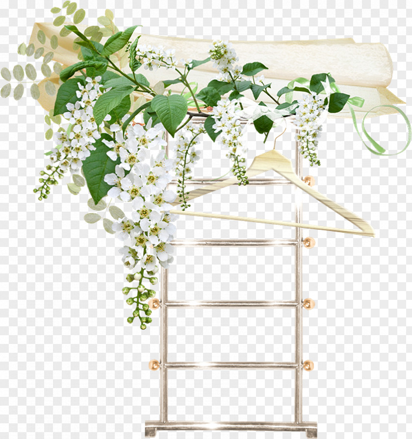 Ladder Prunus Padus Flower Garden Roses Clip Art PNG