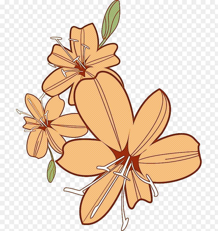 Lily Flower PNG