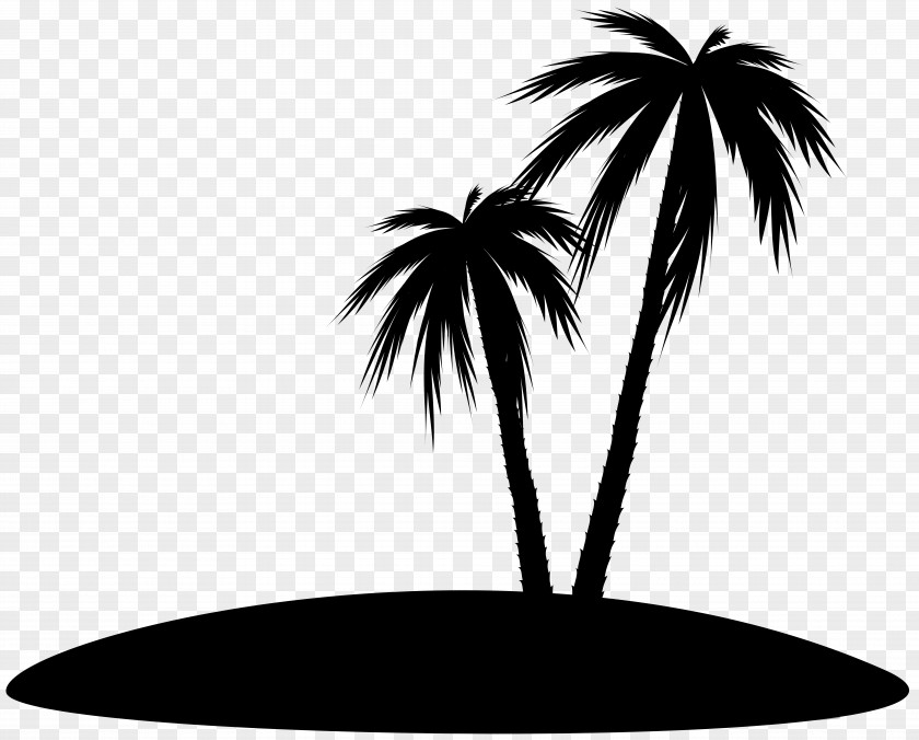 Palm Trees Clip Art Silhouette Line Leaf PNG