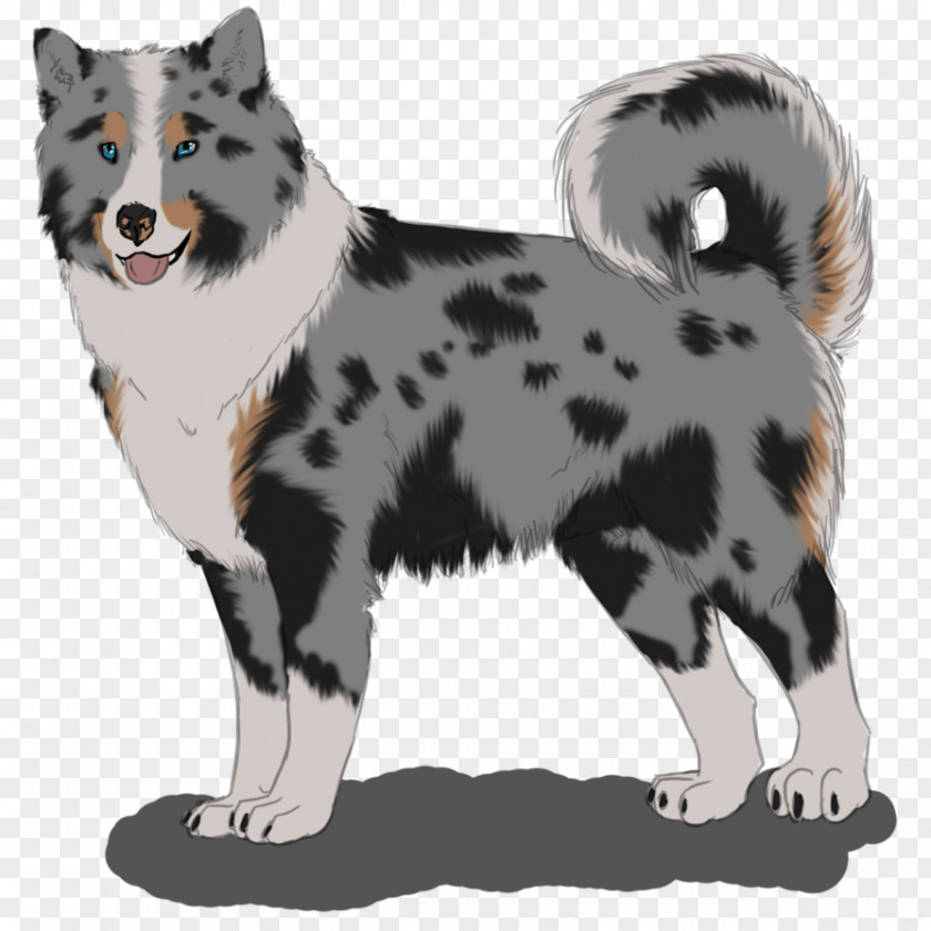 The Dog Is Paying A New Year Call Karelian Bear Icelandic Sheepdog Lapponian Herder Breed Siberian Husky PNG