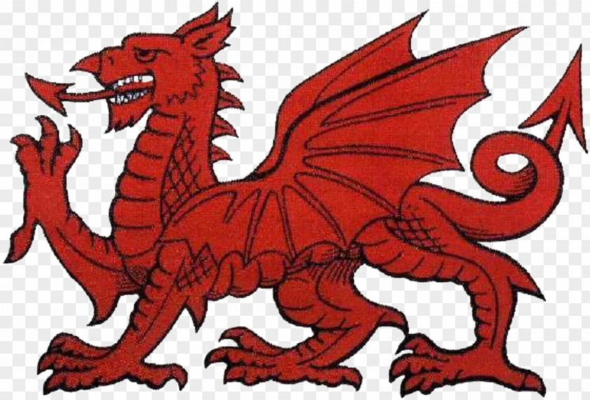 Welsh Dragon Flag Of Wales PNG