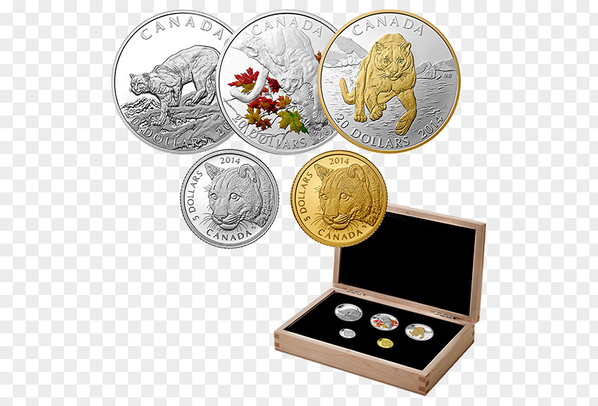 Coin Silver Cash Money Treasure PNG