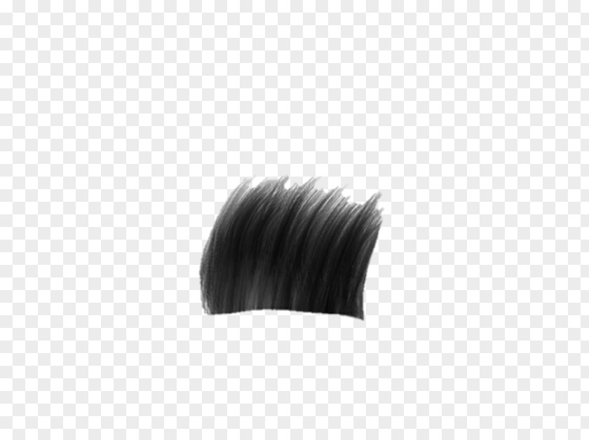 Hair Hairstyle PicsArt Photo Studio Brush PNG