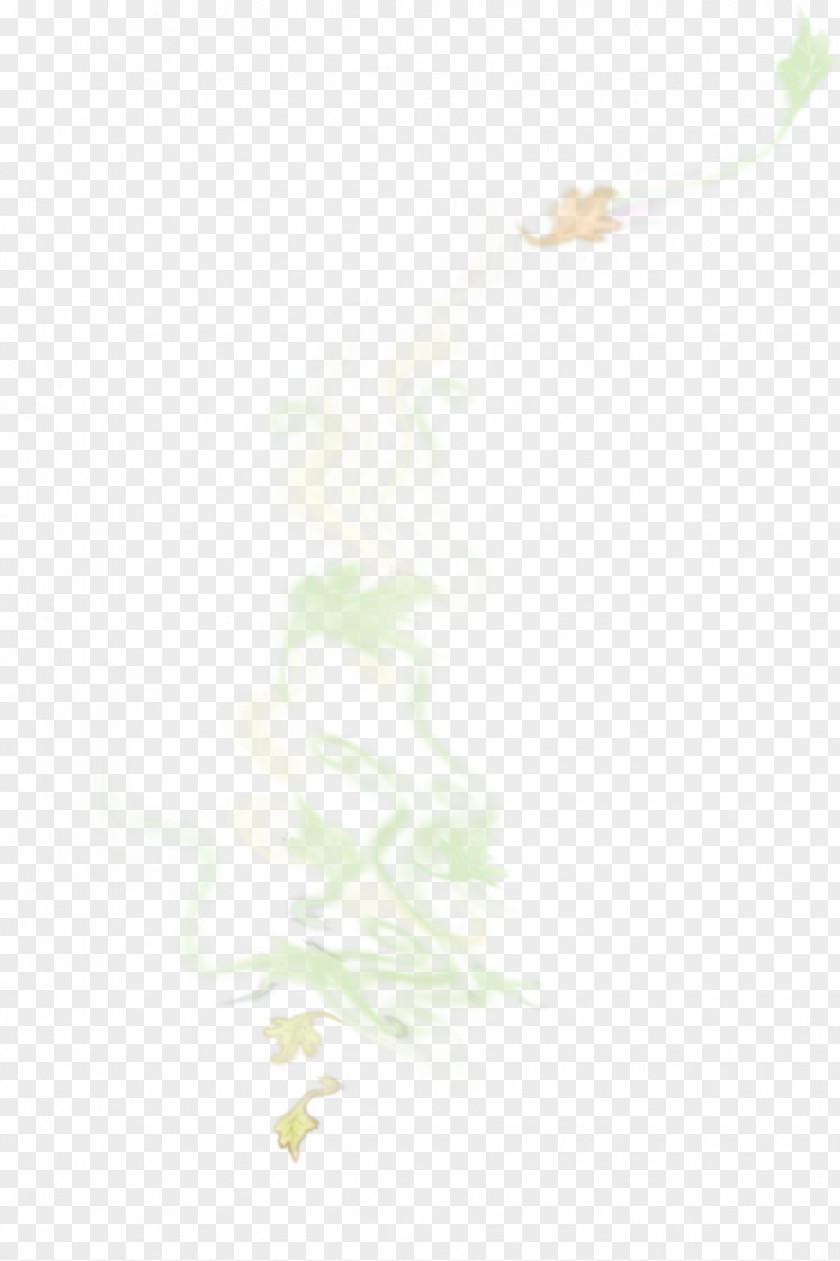 Leaf PNG