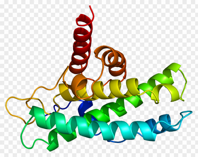 Dna Gene Retinoblastoma Protein Cell Cycle Production PNG