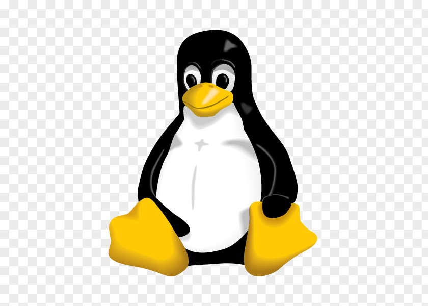 Linux Distribution Kernel Tux PNG