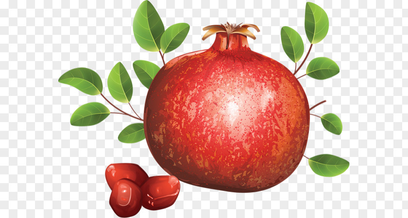 Pomegranate Fruit Juice Accessory PNG