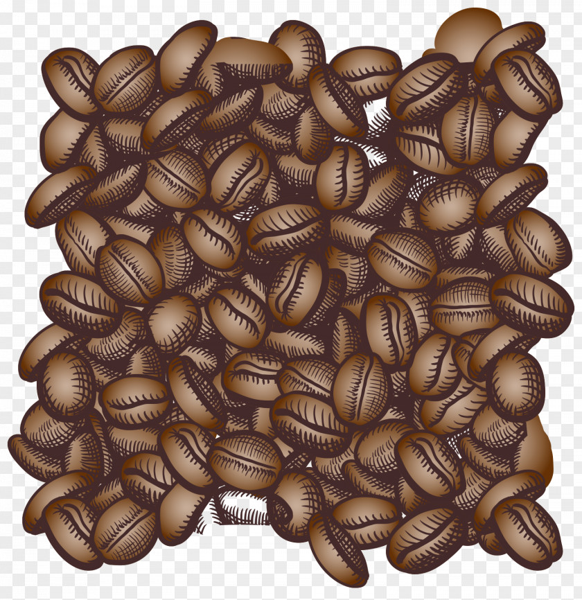 Coffee Beans Background Vector Bean Espresso Cappuccino Cafe PNG