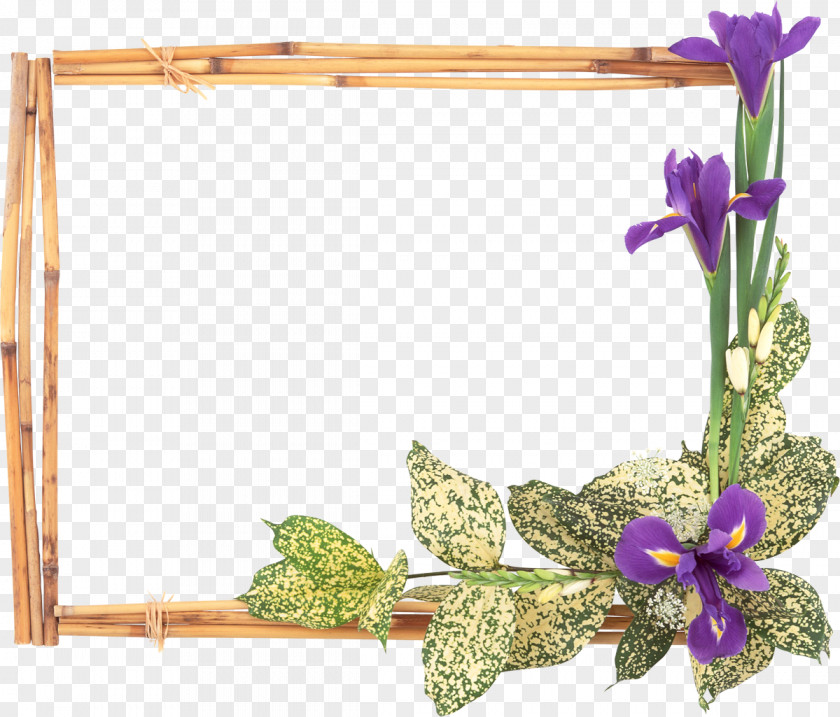Flower Frame Picture Frames Window Stock Photography Clip Art PNG