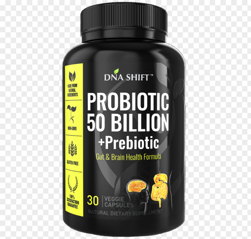 Natural Healing Cosmetics Dietary Supplement Probiotic Prebiotic Health Gastrointestinal Tract PNG