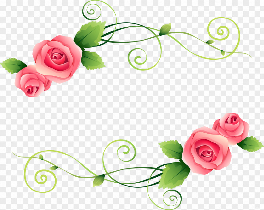 Beautiful Roses Garden Flower Photography Clip Art PNG