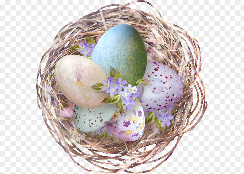 Easter Egg Nest Chicken PNG