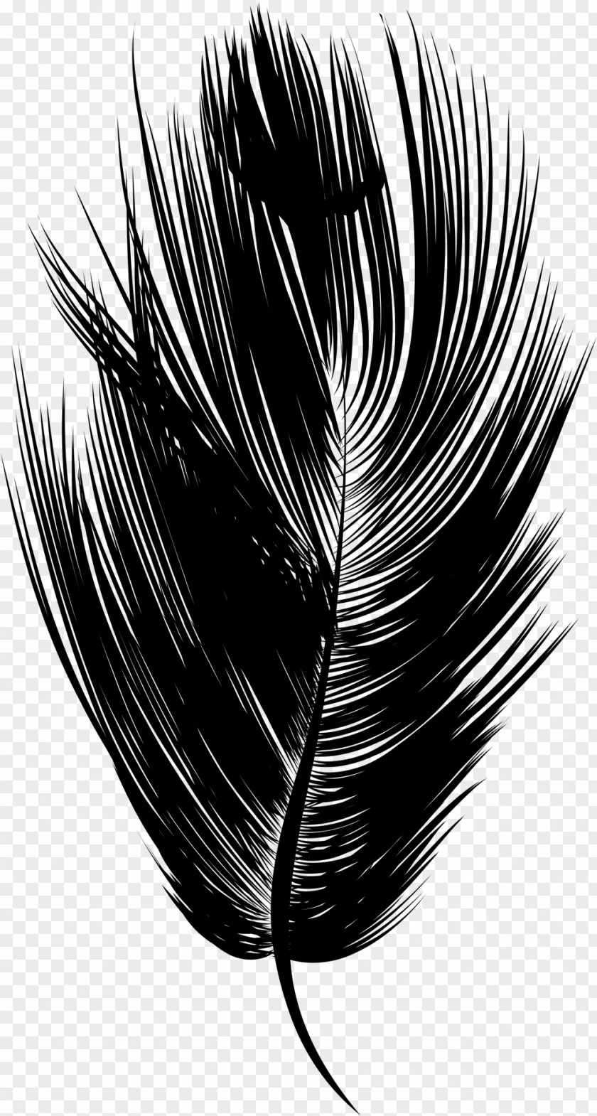 Eyelash Feather Line Black M PNG