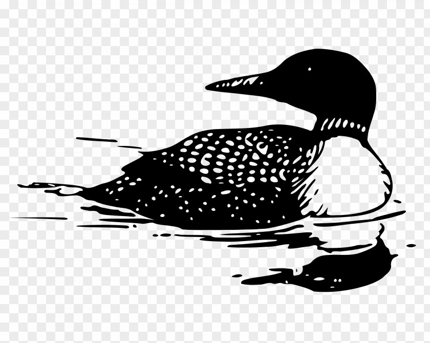 Loon Silhouette Common Tattoo Bird Drawing Clip Art PNG