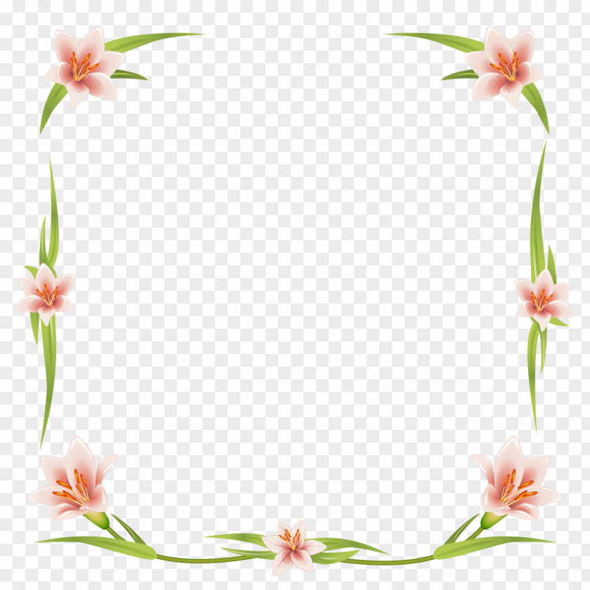 Vector Lilies Euclidean Flower PNG